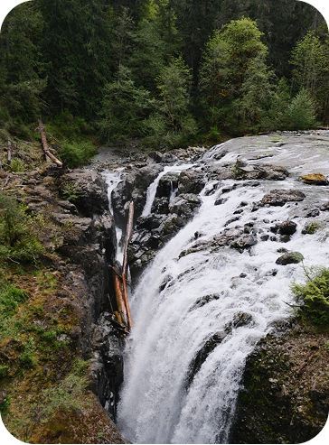 Englishman River Falls surrounded by forest